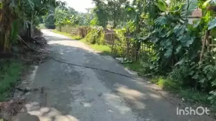 शिवहर: माधोपुर अनंत गांव में बीच सड़क पर टूटा हाई टेंशन तार, आवागमन में हुई परेशानी