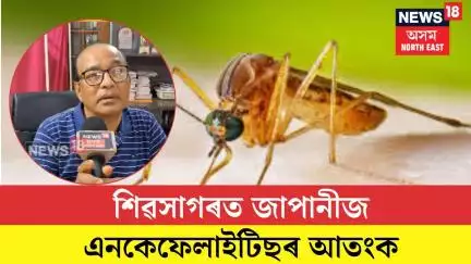 Sivasagar News| শিৱসাগৰত জাপানীজ এনকেফেলাইটিছৰ আতংক| N18V