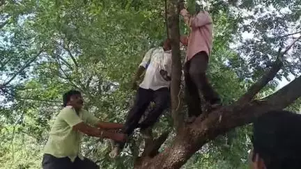 అదిలాబాద్ అర్బన్: బేల మండల కేంద్రంలో  ఉరేసుకొని యువకుడు ఆత్మహత్య