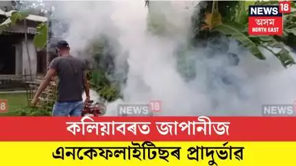Kaliabor News| কলিয়াবৰত জাপানীজ এনকেফলাইটিছৰ প্ৰাদুৰ্ভাৱ| N18V