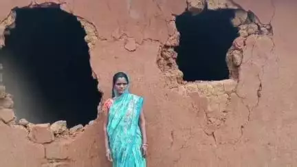 तोरपा: बड़का कमडा में दो जंगली हाथियों का आतंक, घर तोड़ा और अनाज खाया