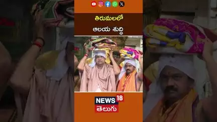 TTD officials clean Tirumala temple ahead of Ani Varam Asthanam festival | తిరుమలలో ఆలయ శుద్ధి |N18S