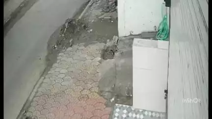 इंदौर: सांवेर: पलासिया डॉग बाइट मामले पर सांसद लालवानी बोले- जल्द निकलेगा निष्कर्ष, छात्रों पर झुंड ने किया था हमला