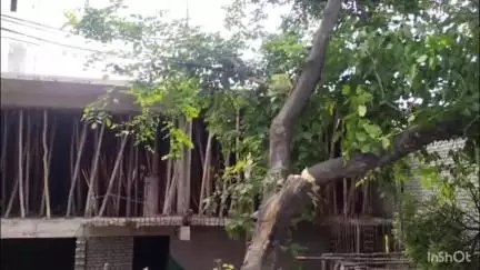 बिलासपुर: सरकंडा क्षेत्र में बिना अनुमति के पेड़ों की कटाई, स्थानीय लोगों ने जताया विरोध, फोटो-वीडियो हुआ वायरल