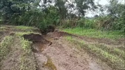 सिवनी: गंगई गांव में नहर तोड़ने से किसानों की फसल बर्बाद, जन समस्या को लेकर विभाग बना मूकदर्शक
#jansamasya