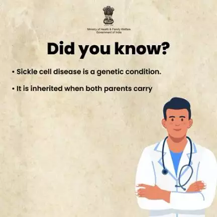 Join us in spreading awareness about sickle cell disease and learn about how it’s inherited. 

#SickleCellAwareness