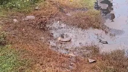 তিনিচুকীয়া: মাকুম টেঙাপানী ৰোডৰ ৰূপনগৰৰ সমীপত  অইল পৰিবাহী পাইপ ফুটি তেল নিৰ্গত