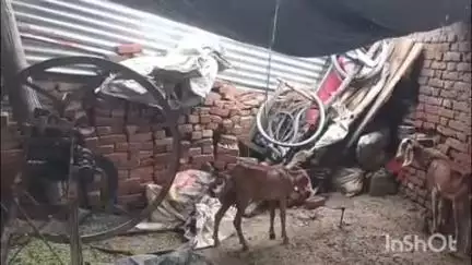 दातागंज: अलापुर थाना क्षेत्र के एक गांव में नाबालिग से छेड़छाड़ का मामला, पुलिस ने मुकदमा दर्ज कर जांच शुरू की