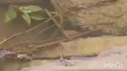 चंवरपुर में मनरेगा घोटाला: 2 महीने में ध्वस्त हुई नाली, सरपंच-सचिव का करिश्मा उजागर#jansamasya