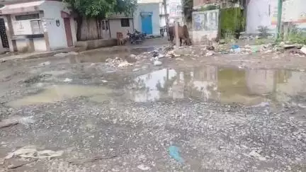 પાલીતાણા: શહેરના વિવિધ પ્રશ્નો વિપક્ષ નેતા દ્વારા આંદોલનની ચીમકી ઉચ્ચારી રજૂઆત કરવામાં આવી #jansamasya