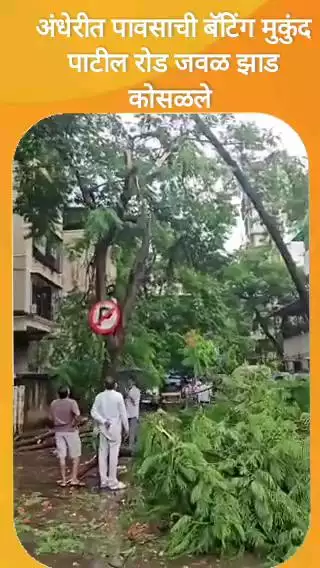 अंधेरीत पावसाची बॅटिंग मुकुंद पाटील रोड जवळ झाड कोसळले