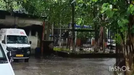 जमुई: सारोंन के पास सड़क दुर्घटना में ट्रक चालक घायल, सदर अस्पताल में कराया गया भर्ती