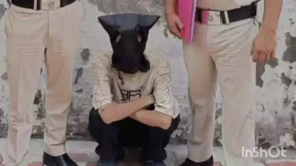 भुंतर: भुंतर पुलिस ने हाथीथान फोरलेन पुल के नीचे 9 ग्राम चिट्टा के साथ एक युवक को दबोचा