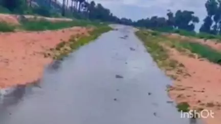 ఆలూరు: కర్ణాటక రాష్ట్రంలో ఉన్న తుంగభద్ర జలాశయం నుంచి హోళగుంద LLCకి నీరు విడుదల