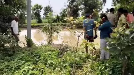 कवर्धा: ग्राम कबराटोला में खेत में हल चलाते समय बैल को लगा करंट, मौके पर हुई मौत