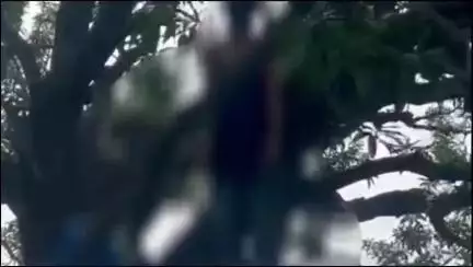 इटावा: चौबिया इलाके में प्रेमी-प्रेमिका ने लगाई फांसी, प्रेमी की हुई मौत व प्रेमिका की हालत गंभीर