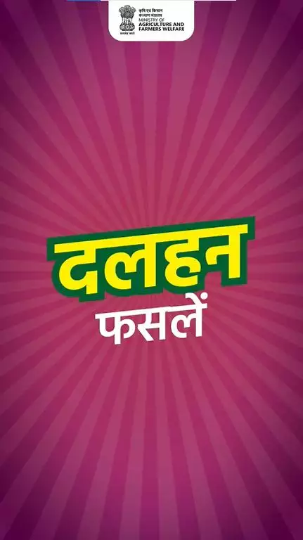 बढ़ती बुवाई, बढ़ता विश्वास! खरीफ की जोरदार शुरुआत, दलहन की बुवाई में 5.37 लाख हेक्टेयर की बढ़ोतरी, किसानों में नई उम्मीद