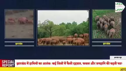 झारखंड में हाथियों का आतंकः कई जिलों में फैली दहशत, फसल और जनहानि की बढ़ती घटनाएं