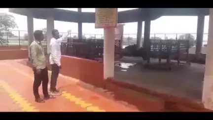 शिरोळ: स्मशानभूमीत अर्धवट जळालेल्या मृतदेहांचे कुत्र्यांकडून तोडले लचके, कुरुंदवाड येथील हृदयद्रावक घटना