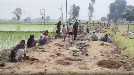 हरियाणा के कुरुक्षेत्र में ज़मीन खुदाई के दौरान मिला खजाना, चांदी के पुराने सिक्के मिलने से ग्रामीण हुए मालामाल