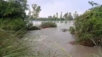 नवाबगंज: याकूतगंज गांव के निकट स्थित प्रतापगढ़ रजबहा के काटने से दर्जनों किसानों के खेतों में हुआ भारी जल भराव #jansamasya