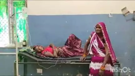 बांदा: सिमरिया मिर्दहा गांव में खेत पर काम कर रही महिला को जहरीले सांप ने काटा, महिला की हालत बिगड़ी