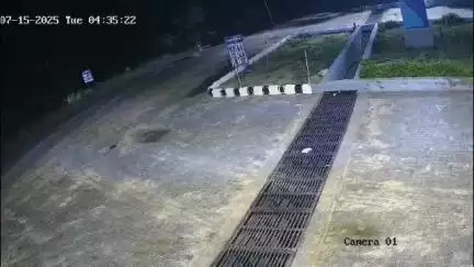 जोधपुर: जोधपुर लूनी थाना क्षेत्र में अज्ञात ट्रॉली की टक्कर से दो गायों की मौत, पुलिस ने सीसीटीवी के आधार पर शुरू की जांच