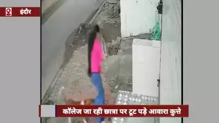 इंदौर में कॉलेज जा रही छात्रा पर आवारा कुत्तों का हमला, रोंगटे खड़े कर देने वाला वीडियो आया सामने