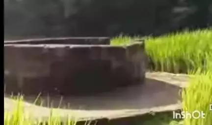 सावंतवाडी: मळेवाड येथील नवविवाहितेची माहेरी न्हावेली देऊळवाडी येथे विहिरीत उडी घेऊन आत्महत्या : धक्कादायक घटना