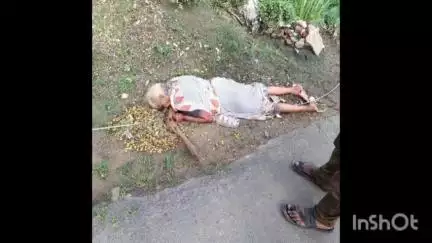 उतरौला: रेहरा में हाई टेंशन तार की चपेट में आने से एक महिला की हुई मौत