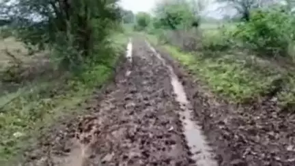 पाली: आजादी के 78 साल बाद भी ग्राम रमपुरा को जाने वाली सड़क का पक्कीकरण नहीं हो सका, वीडियो सोशल मीडिया पर वायरल