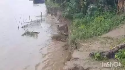 মানিকচক: গঙ্গার জল বাড়তে না বাড়তেই ফের ভাঙন আতঙ্ক গ্রাস করল জোতপাট্টা এলাকার বাসিন্দাদের