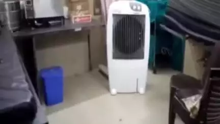 दमोह: जिला अस्पताल में स्टाफ की मनमानी, इलाज के लिए घंटों इंतजार कर रहे मरीज, भगवान भरोसे व्यवस्था