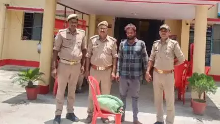 बबेरू: कमासिन थाना पुलिस ने 1 किलो 900 ग्राम अवैध सूखा गांजा के साथ एक अभियुक्त को गिरफ्तार कर जेल भेजा
