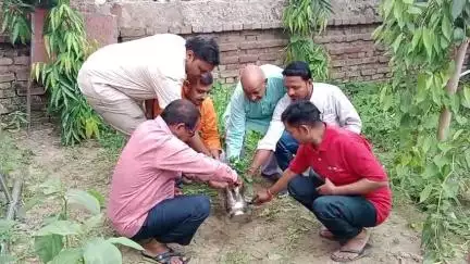 जयनगर: भारतीय राष्ट्रीय पत्रकार महासंघ जिला इकाई मधुबनी द्वारा स्थापना दिवस मनाया गया