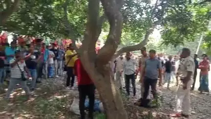 पुपरी: पुपरी के बछारपुर में आम के बगीचे में पेड़ से लटका मिला एक व्यक्ति का शव, क्षेत्र में कोहराम