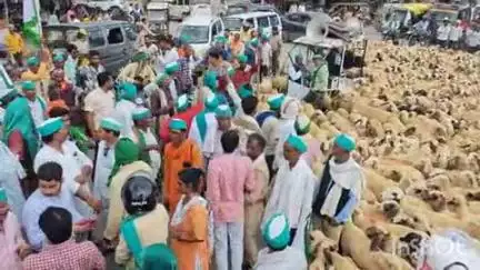 बिंदकी: बिंदकी कस्बे में भेड़ और सुअरों के साथ भाकियू अराजनैतिक गुट ने किया प्रदर्शन, पुलिस बल के साथ पहुंचे एसडीएम और तहसीलदार