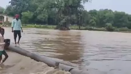 ललितपुर: मूसलाधार बारिश के कारण खेड़र नदी उफान पर, जान जोखिम में डालकर नाला पार कर रहे लोग, सुरक्षा के नहीं इंतजाम, वीडियो वायरल
