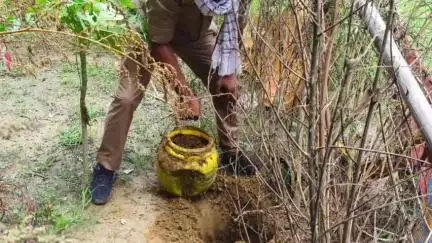 कादीपुर: आबकारी विभाग की टीम ने कादीपुर क्षेत्र में छापेमारी कर 28 लीटर अवैध कच्ची शराब किया बरामद