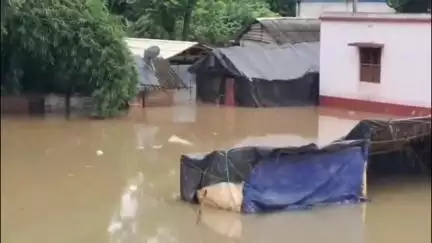 পাঁশকুড়া: পাঁশকুড়ার কাঁসাই নদীতে জলস্তর বৃদ্ধি পাওয়ায় ক্ষতিগ্রস্ত সবজি ও কৃষিজ ফসল, সমস্যায় কৃষকরা #jansamasya