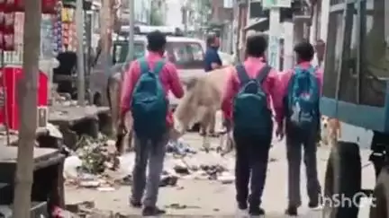 मोहम्मदी: मोहम्मदी नगर में आवारा जानवरों का आतंक जारी, वीडियो हो रहा वायरल, दरोगा की मौत के बावजूद नहीं दिया गया ध्यान