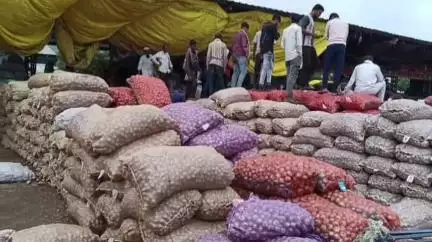 शाजापुर: शाजापुर मंडी में 13329 क्विंटल प्याज की आवक, ₹1450 प्रति क्विंटल बिकी