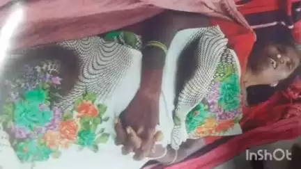 अंबिकापुर: चैनपुर निवासी 66 वर्षीय महिला सिबड़ी को जमीन में सोने के दौरान जहरीले सांप ने काटा, डॉक्टरों ने किया मृत घोषित