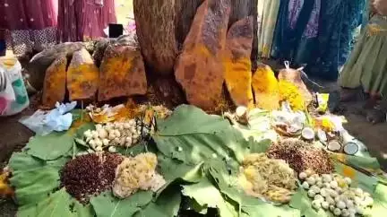 నిర్మల్: లక్ష్మణచందా మండలం వడ్యాల్ తాండ గ్రామంలో బంజారాల కులదేవత శీతల మాత పండగను ఘనంగా జరుపుకున్న గ్రామస్తులు