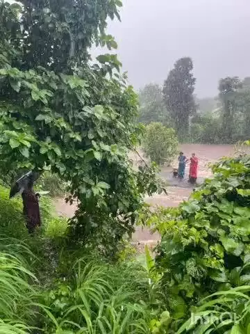 पनवेल: पोयंजे गावाच्या नदीपात्रात कपडे धुण्यासाठी गेलेल्या महिला पाण्याचा प्रवाह वाढल्याने अडकल्या, स्थानिकांनी केले रेस्क्यू