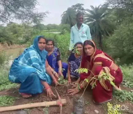 राजनांदगांव: जिले के ग्राम महाराजपुर में वृक्षारोपण किया गया, बड़ी संख्या में जनप्रतिनिधि और गणमान्य नागरिक रहे मौजूद