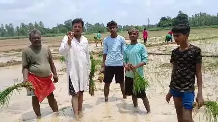 किसान देश की रीढ़ उनके हित के बारे मे आखिर क्यों नहीं सोचती सरकार
