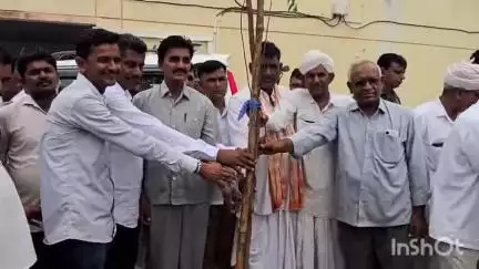 થરાદ: APMC ખાતે 100 થી વધુ વૃક્ષારોપણ કરવામાં આવ્યું