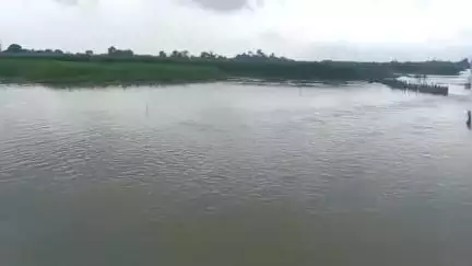নাকাশিপাড়া: বৃষ্টির জলে কুলেপোতা আকন্দডাঙ্গা, মদনডাঙায়, মথুরনগর, আড়পাড়া ব্রিজের নিচে জলে ক্ষতিগ্রস্ত ধনক্ষতিগ্রস্ত ধান পাট