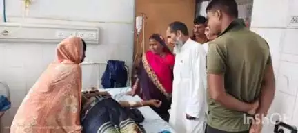 रजौली: गंगा बीघा गांव में सांप काटने से एक महिला की हालत नाजुक, अनुमंडल अस्पताल में भर्ती, इलाज जारी
